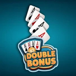 Enjoy Double Double Bonus by Red Rake Gaming – logo hosted on casino-labs.eu